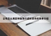 公司怎么用区块链发行虚拟货币的简单介绍